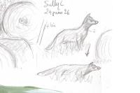 Vulpes vulpes