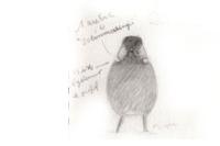 Corvus monedula soemmeringii