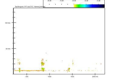 Pipistrelle de Nathusius
