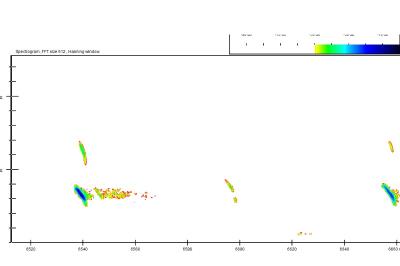 Barbastelle d'Europe