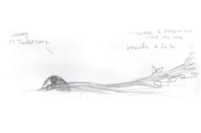 Castor d'Eurasie