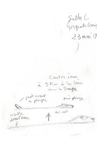 Castor d'Eurasie